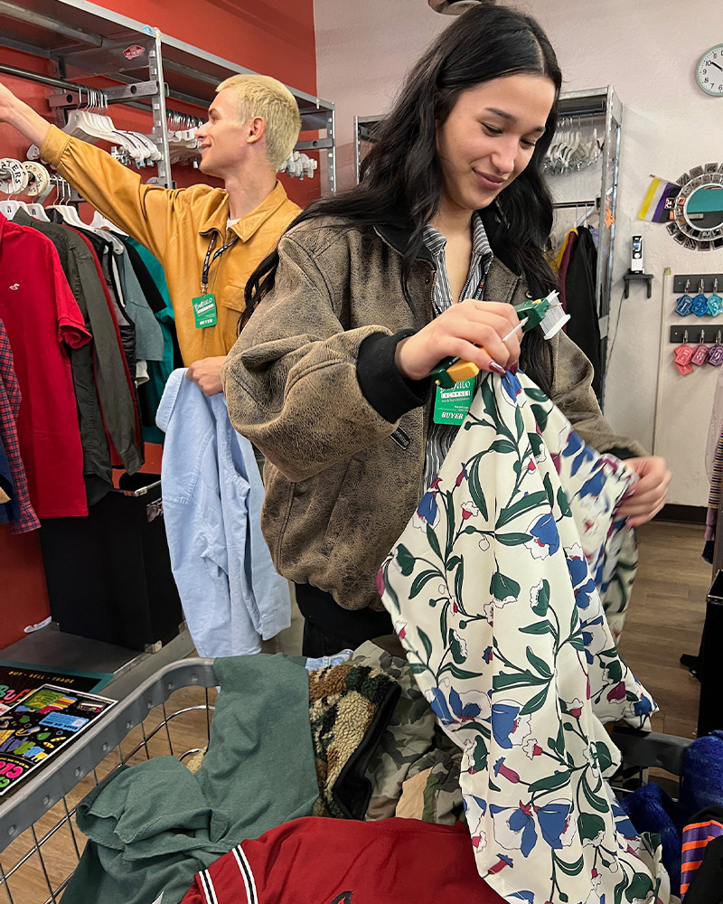 Grey stallion running